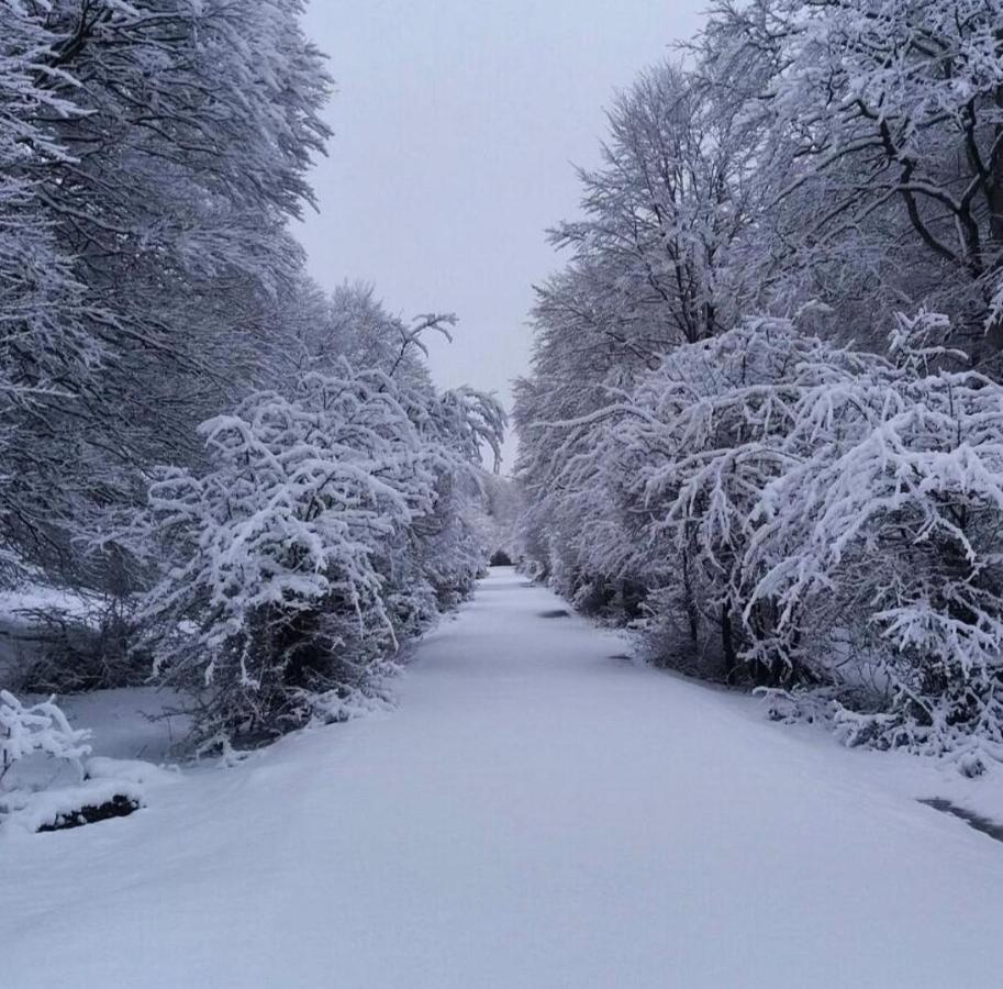 Andamur San Roman Екстер'єр фото